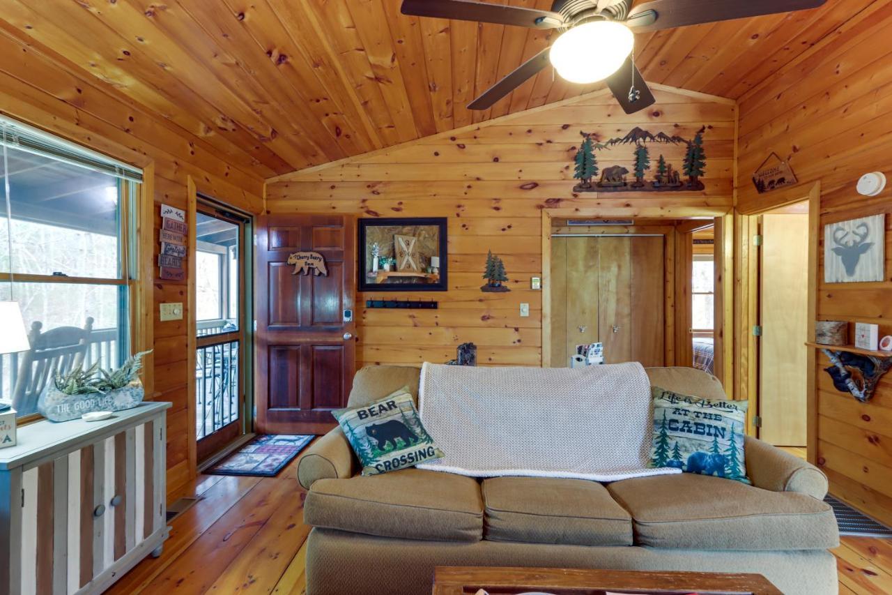 Blue Ridge Cozy Cabin In The Woods With Hot Tub! Extérieur photo