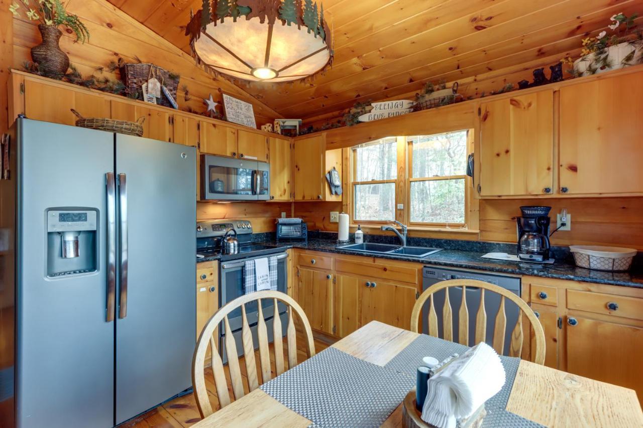 Blue Ridge Cozy Cabin In The Woods With Hot Tub! Extérieur photo