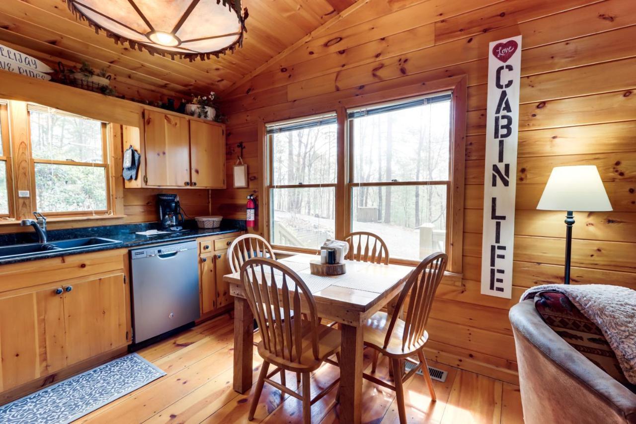 Blue Ridge Cozy Cabin In The Woods With Hot Tub! Extérieur photo